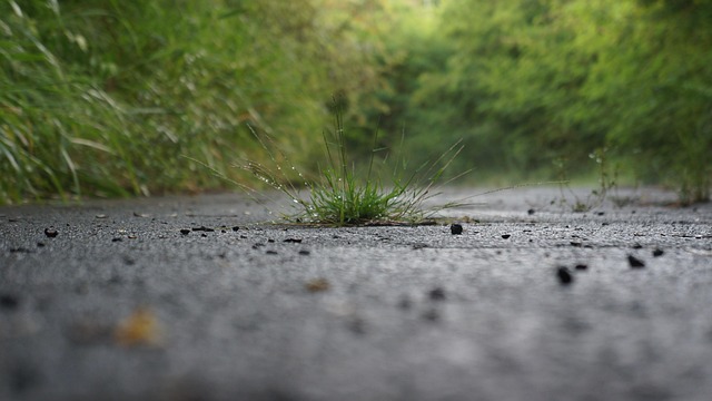 First Graphene与Breedon合作实现历史性突破:成功量产600吨石墨烯增强水泥